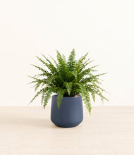 Load image into Gallery viewer, Deep Navy*****Profile