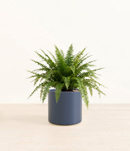 Load image into Gallery viewer, Deep Navy*****Profile