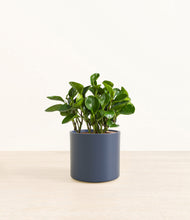 Load image into Gallery viewer, Deep Navy*****Profile