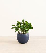 Load image into Gallery viewer, Deep Navy*****Profile