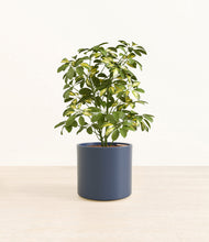 Load image into Gallery viewer, Deep Navy*****Profile