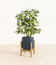 Load image into Gallery viewer, Deep Navy stand:bamboo