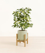 Load image into Gallery viewer, Turquoise stand:bamboo