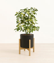 Load image into Gallery viewer, Black stand:bamboo