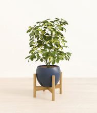 Load image into Gallery viewer, Deep Navy stand:bamboo