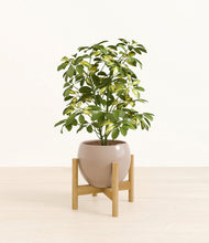 Load image into Gallery viewer, Desert Brown stand:bamboo