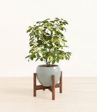 Load image into Gallery viewer, Deep Ocean stand:walnut