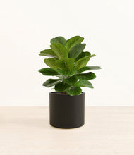 Load image into Gallery viewer, Black*****Profile