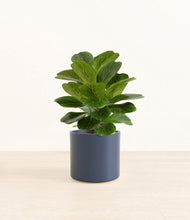 Load image into Gallery viewer, Deep Navy*****Profile