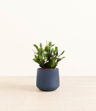 Load image into Gallery viewer, Deep Navy*****Profile