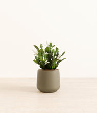 Load image into Gallery viewer, Olive*****Profile