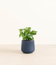 Load image into Gallery viewer, Deep Navy*****Profile