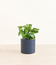 Load image into Gallery viewer, Deep Navy*****Profile