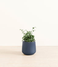 Load image into Gallery viewer, Deep Navy*****Profile