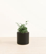 Load image into Gallery viewer, Black*****Profile