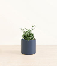 Load image into Gallery viewer, Deep Navy*****Profile