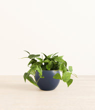 Load image into Gallery viewer, Deep Navy*****Profile