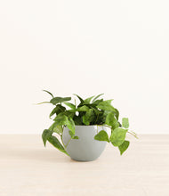 Load image into Gallery viewer, Deep Ocean*****Profile