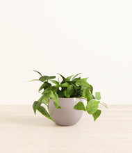 Load image into Gallery viewer, Winter Clouds*****Profile