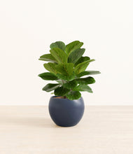 Load image into Gallery viewer, Deep Navy*****Profile