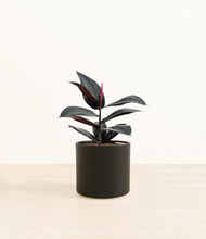 Load image into Gallery viewer, Black*****Profile