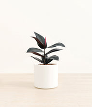 Load image into Gallery viewer, White*****Profile