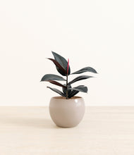 Load image into Gallery viewer, Desert Brown*****Profile