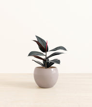 Load image into Gallery viewer, Winter Clouds*****Profile