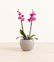 Load image into Gallery viewer, Winter Clouds*****Profile