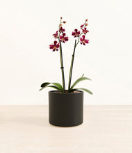 Load image into Gallery viewer, Black*****Profile