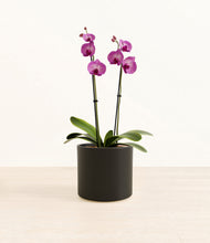 Load image into Gallery viewer, Black*****Profile