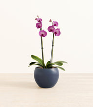 Load image into Gallery viewer, Deep Navy*****Profile