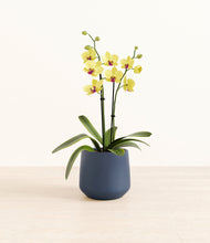 Load image into Gallery viewer, Deep Navy*****Profile