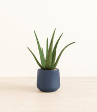 Load image into Gallery viewer, Deep Navy*****Profile