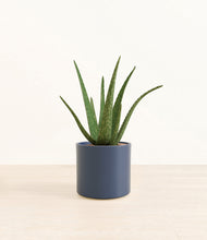 Load image into Gallery viewer, Deep Navy*****Profile