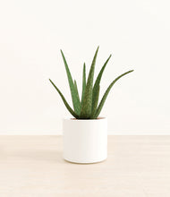 Load image into Gallery viewer, White*****Profile