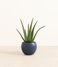 Load image into Gallery viewer, Deep Navy*****Profile