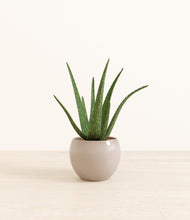 Load image into Gallery viewer, Desert Brown*****Profile