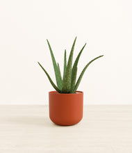 Load image into Gallery viewer, Earth Red*****Profile