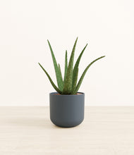 Load image into Gallery viewer, Iron Gray*****Profile