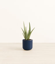 Load image into Gallery viewer, Twilight Blue*****Profile