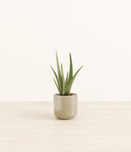 Load image into Gallery viewer, Sage Green*****Profile