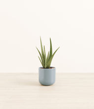 Load image into Gallery viewer, Misty Blue*****Profile