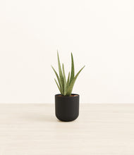 Load image into Gallery viewer, Stone Black*****Profile