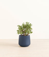 Load image into Gallery viewer, Deep Navy*****Profile