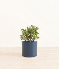 Load image into Gallery viewer, Deep Navy*****Profile