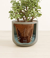 Load image into Gallery viewer, Sage Green stand:all