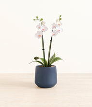 Load image into Gallery viewer, Deep Navy*****Profile