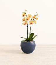 Load image into Gallery viewer, Deep Navy*****Profile