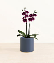 Load image into Gallery viewer, Deep Navy*****Profile